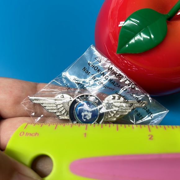 🖤ALASKA AIRLINES lapel pin - Picture 7 of 8